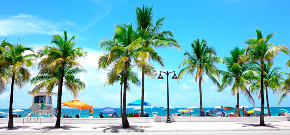 Fort Lauderdale, Florida CPA
